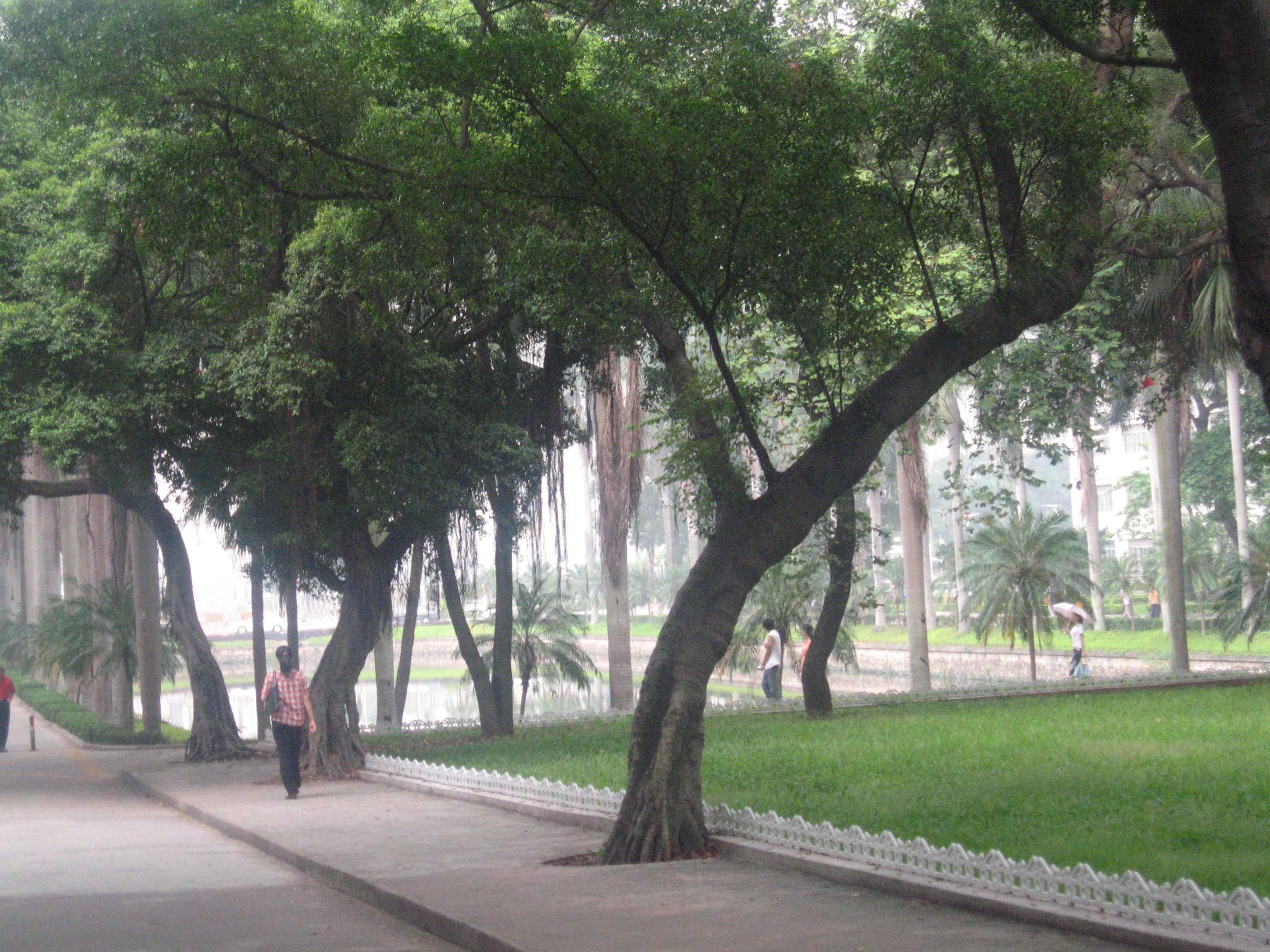 Кампус в городе Гуанжоу